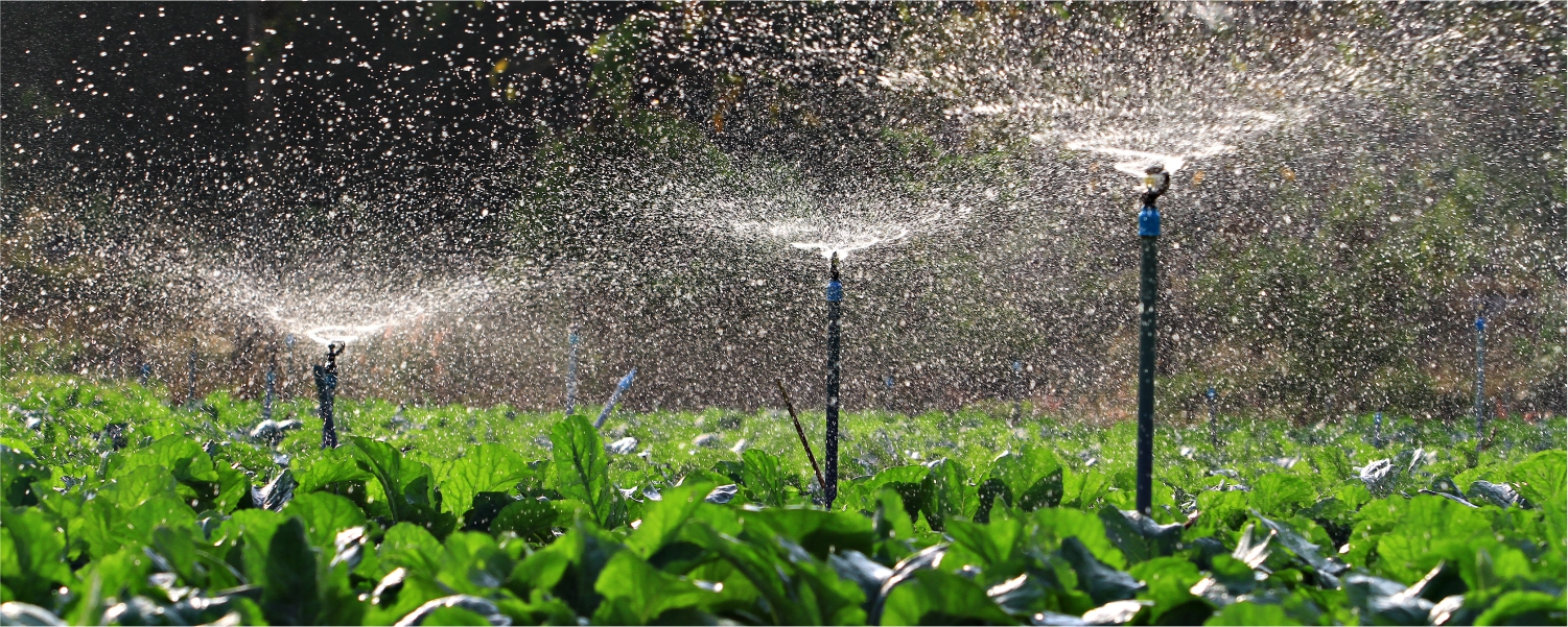 Benefícios da Irrigação - IrrigaeRegafácil