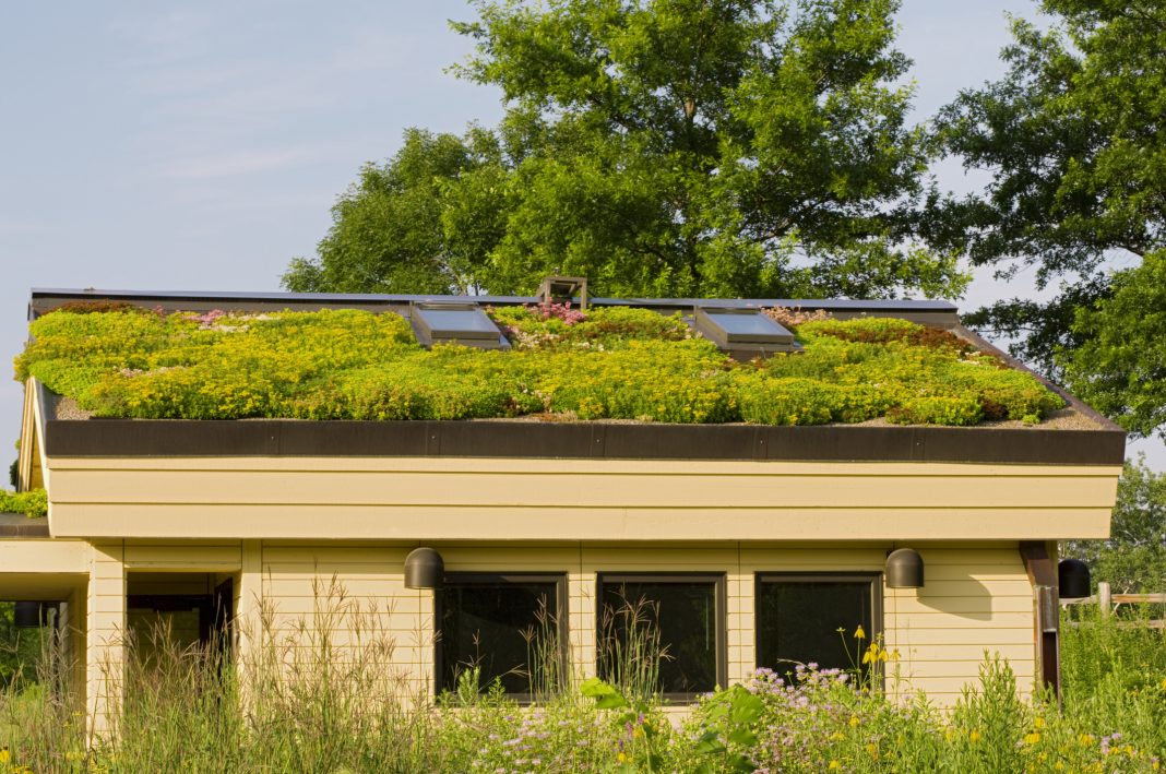 Lei que incentiva uso do telhado verde