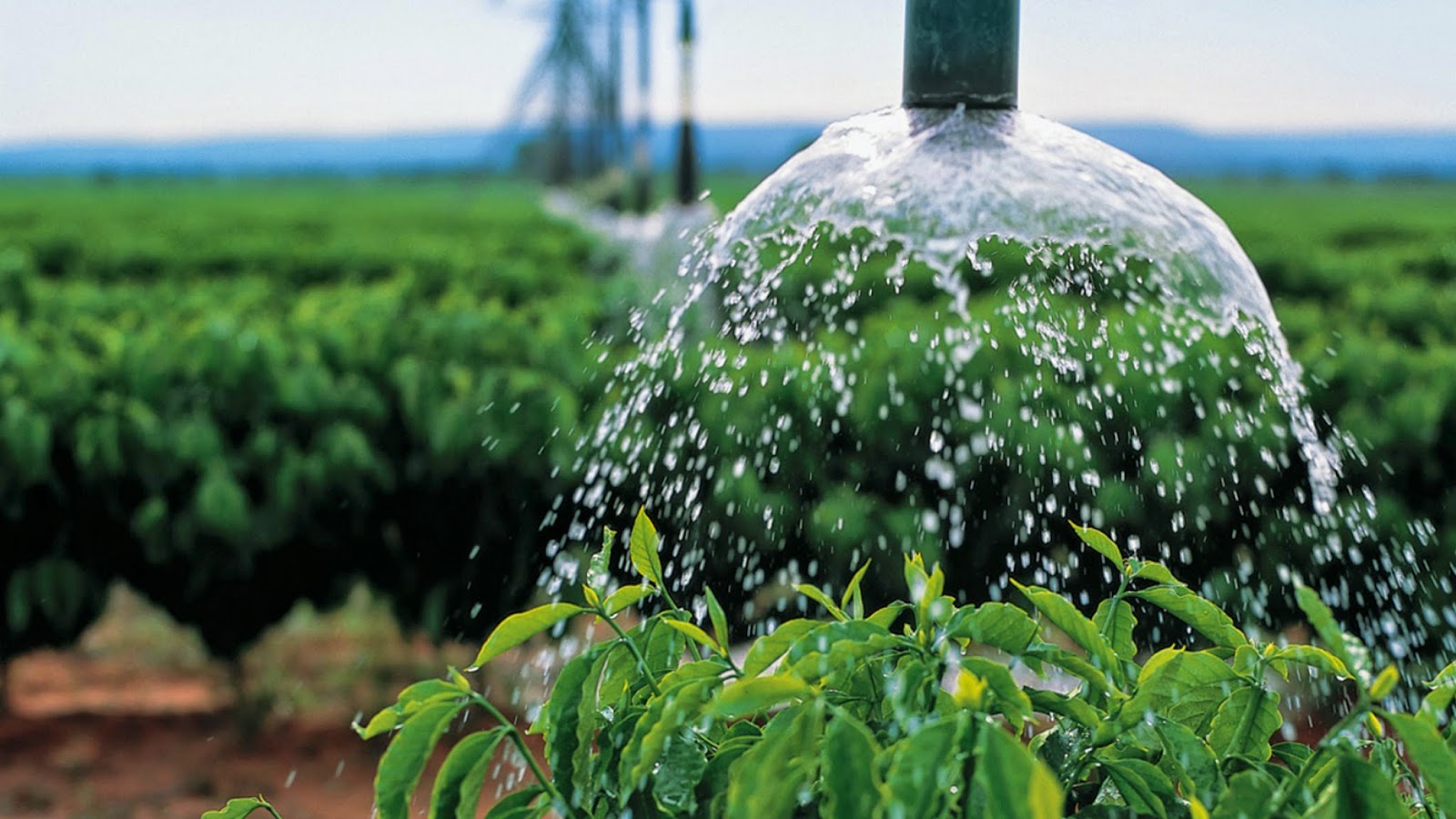 sistemas de irrigação