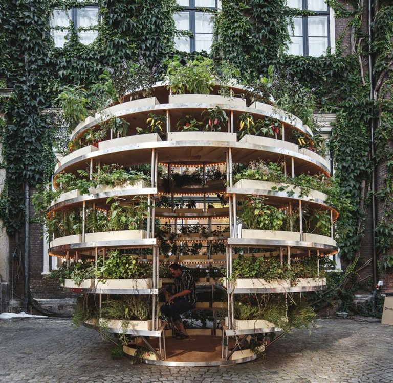 Designers lançam guia gratuito que explica como construir seu próprio jardim interior