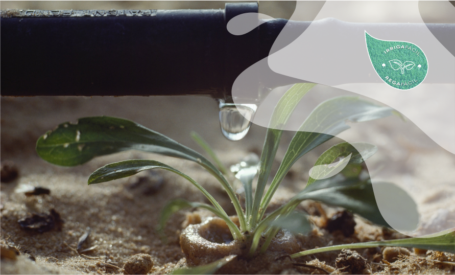 Entenda todos os passos para saber sobre sistemas de irrigação