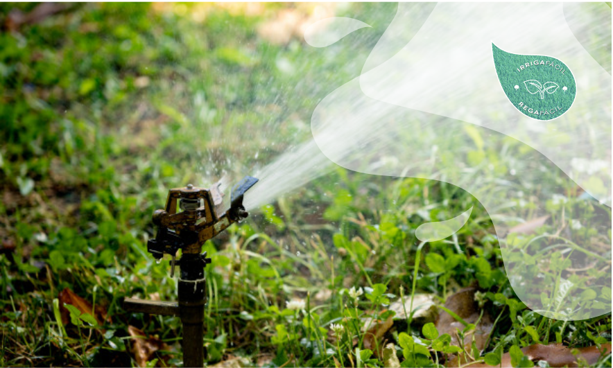 A importância dos aspersores na irrigação